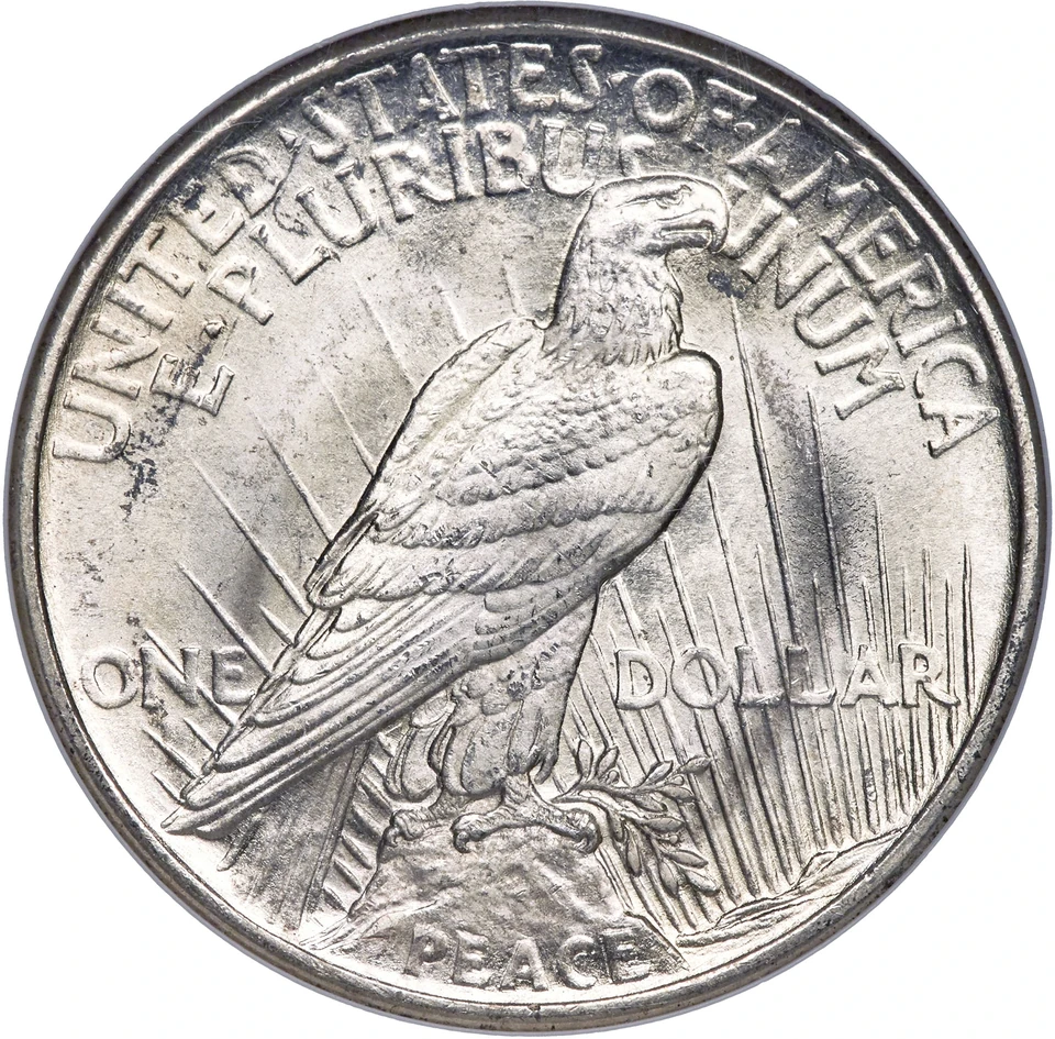 1921 Peace dollar — reverse: A perched eagle with PEACE near the bottom.