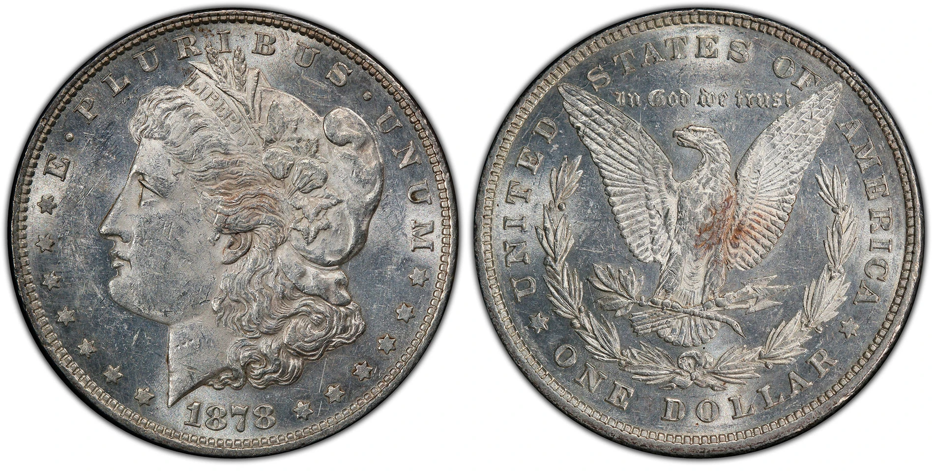 1878 8TF · PCGS MS60 · cheek and hair