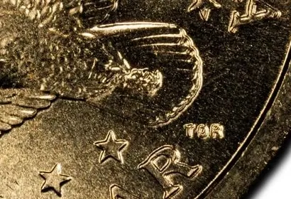 Ordinary 2000-P · tail feathers: Compare the relatively smooth internal feather areas.