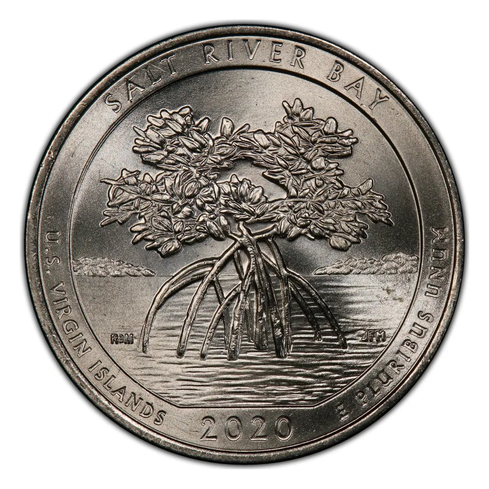 Same quarter reverse: a young mangrove above the 2020 date, with U.S. VIRGIN ISLANDS below the rim.