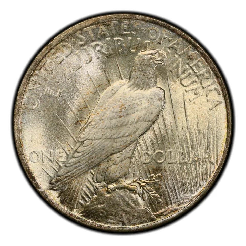 Same 1923 reverse: find the mint-mark area below ONE near the eagle’s tail.
