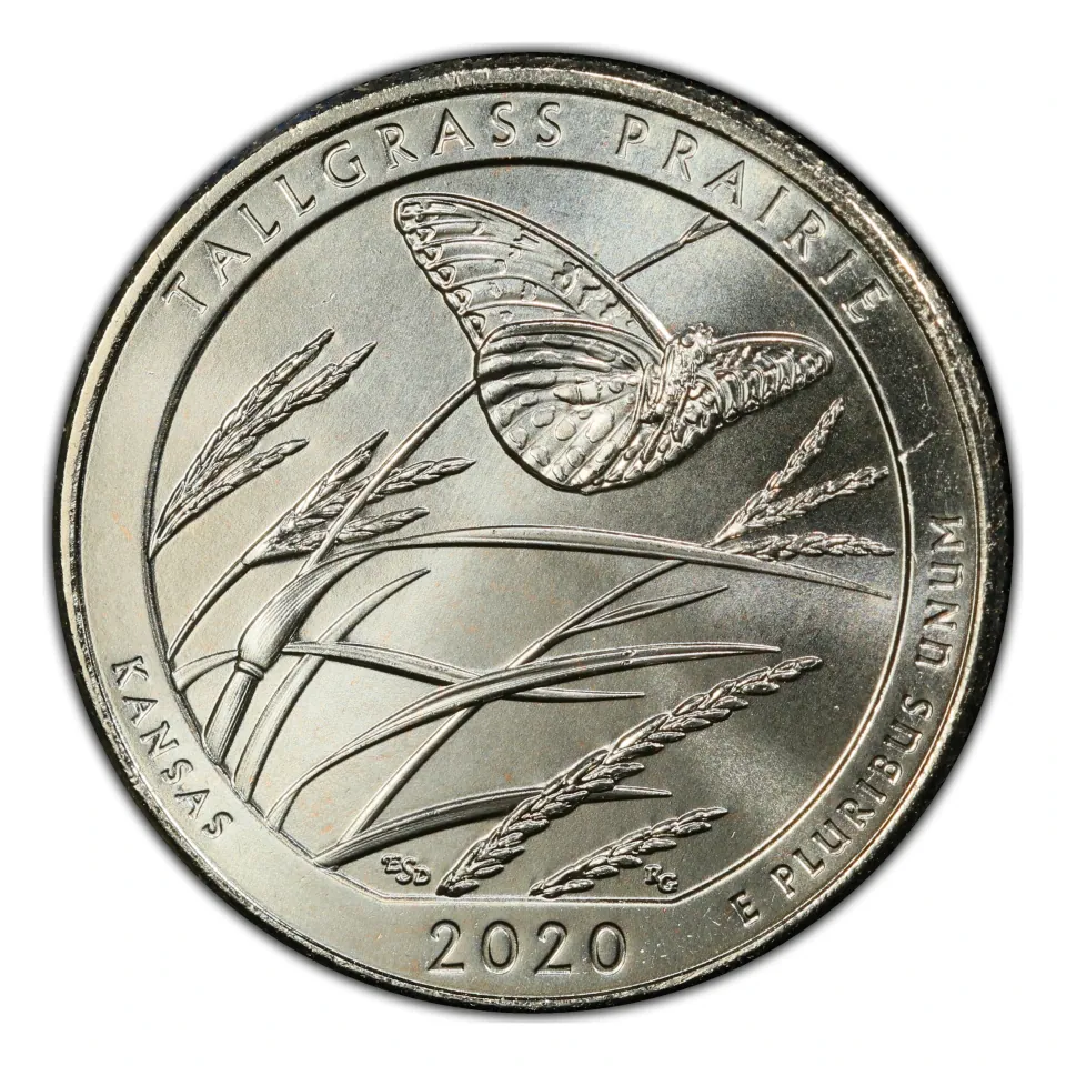 2020 Tallgrass Prairie reverse: butterfly and prairie grasses.