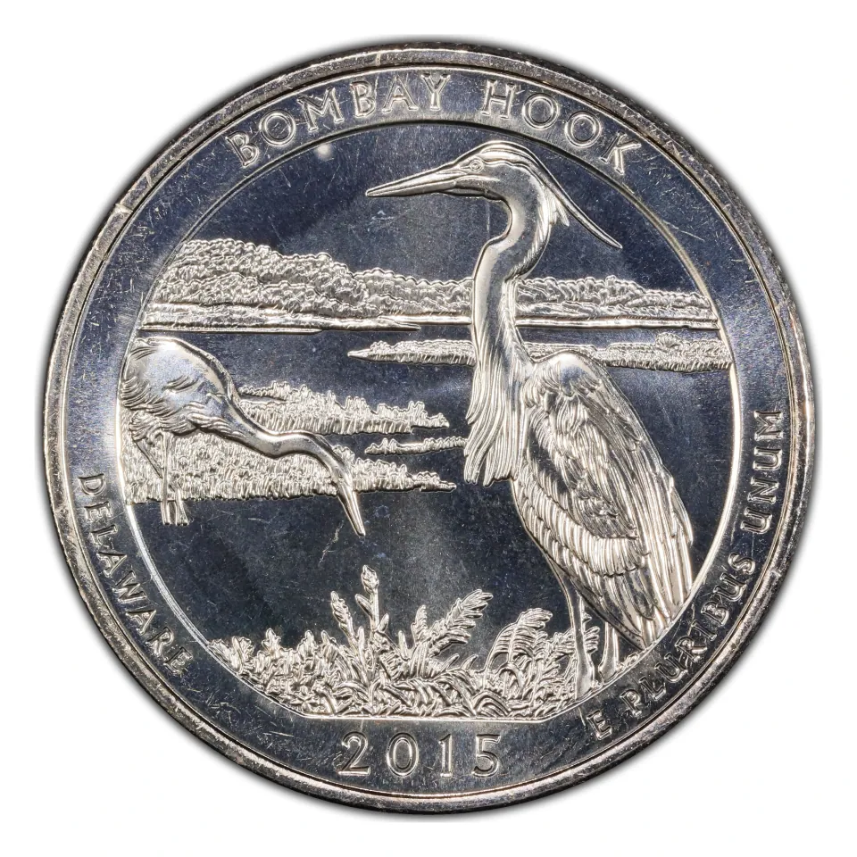2015 Bombay Hook reverse: wetland birds and reeds.