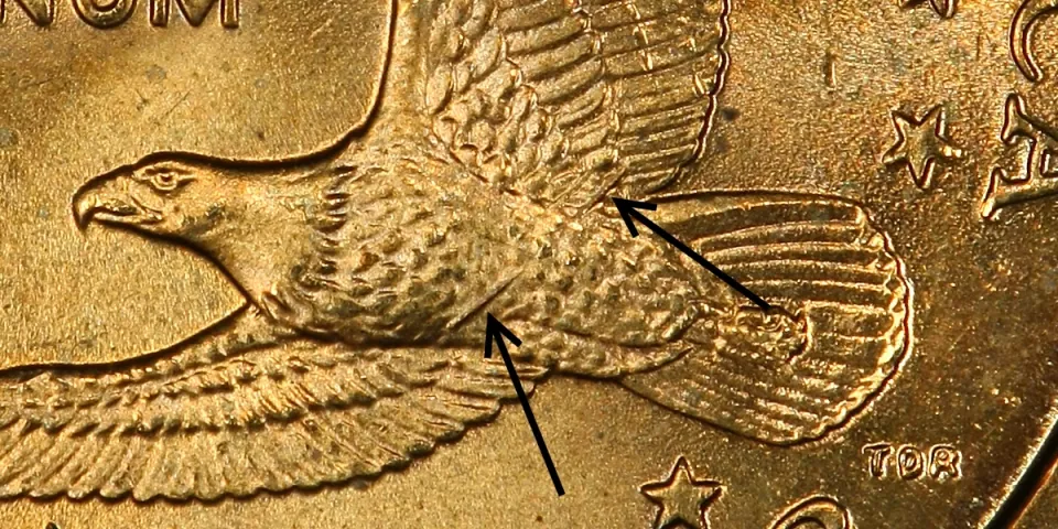 Wounded Eagle · diagnostic body detail: The arrows point to raised die features across the eagle’s body.