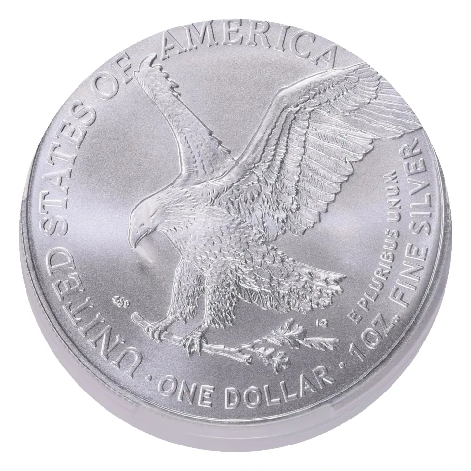 Same 2025 bullion reverse: landing eagle, ONE DOLLAR and 1 OZ. FINE SILVER; no collector privy mark is claimed.