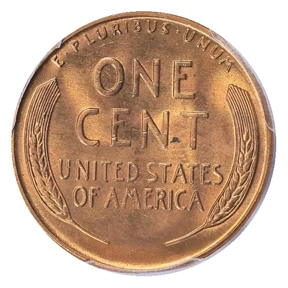 Same 1955-S reverse: complete wheat ears, ONE CENT and original surface color.