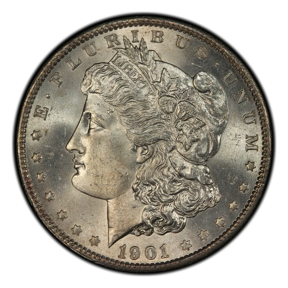 1901 Philadelphia Morgan dollar obverse: read every date digit beneath Liberty.