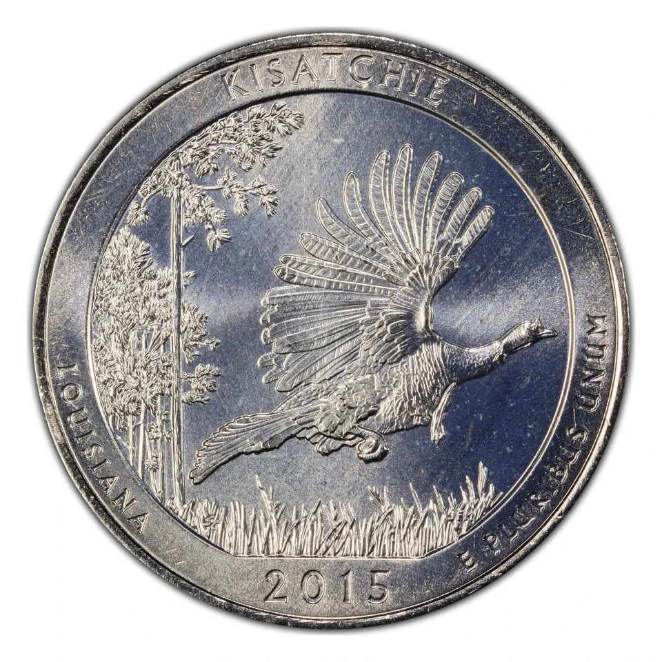 2015 Kisatchie reverse: wild turkey in flight.