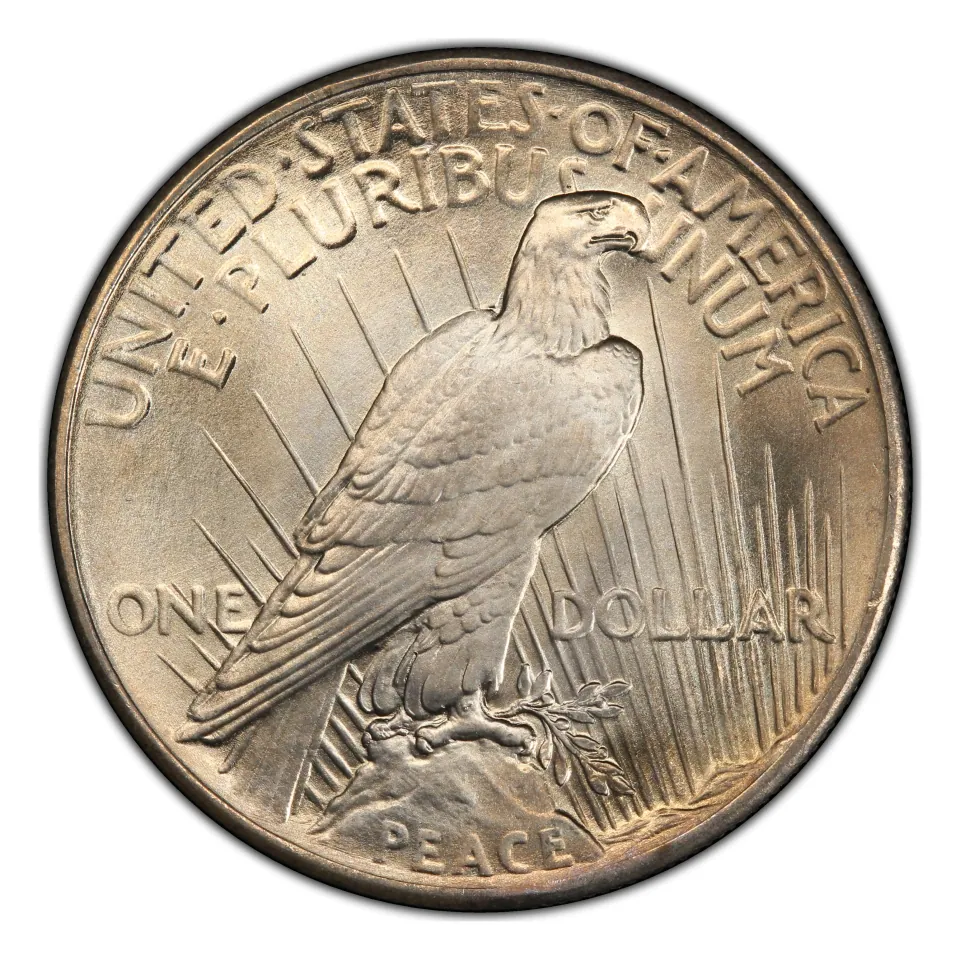 1925 Peace dollar reverse: inspect below ONE near the tail for a mint mark.