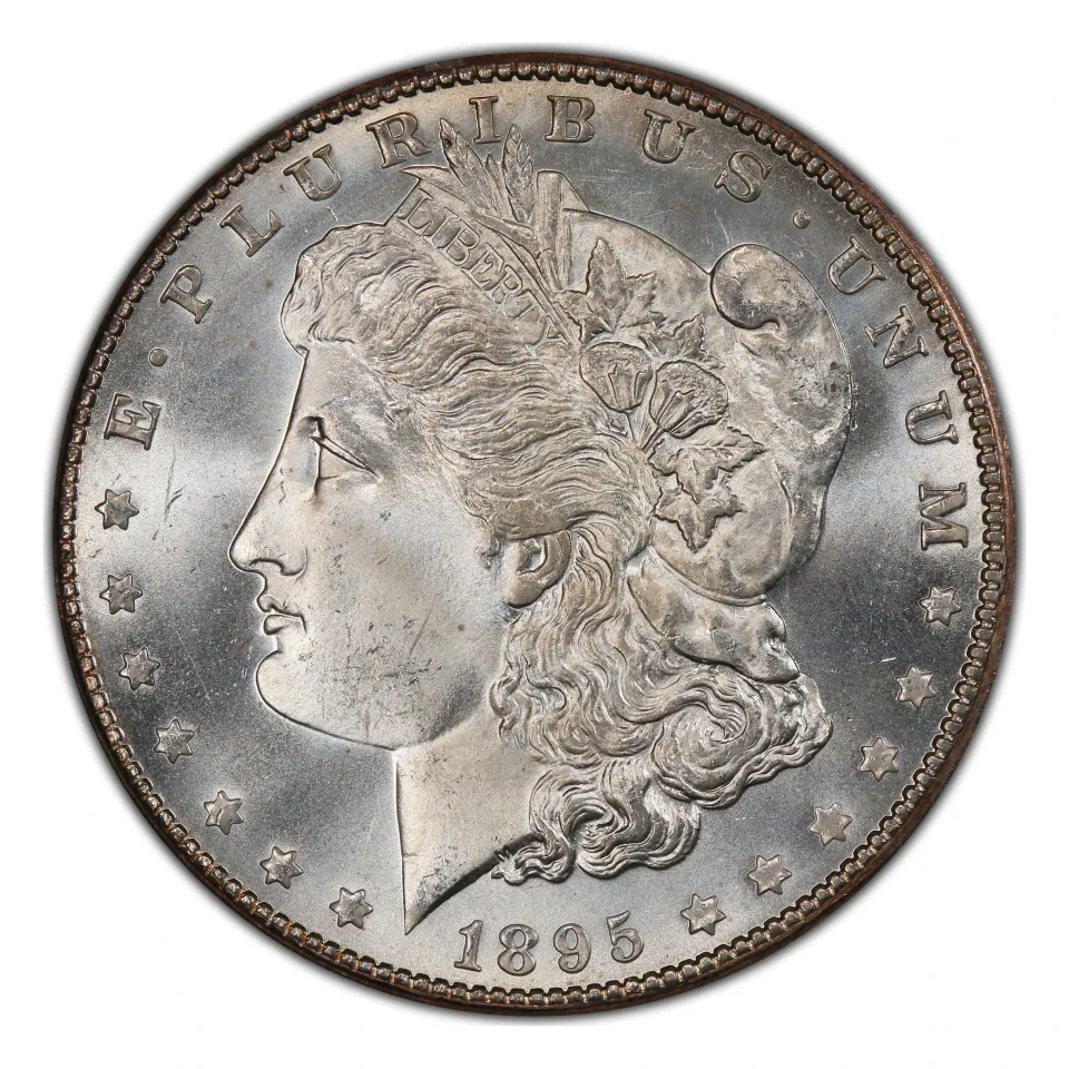 1895-O Morgan regular strike obverse: a separate branch-mint issue.