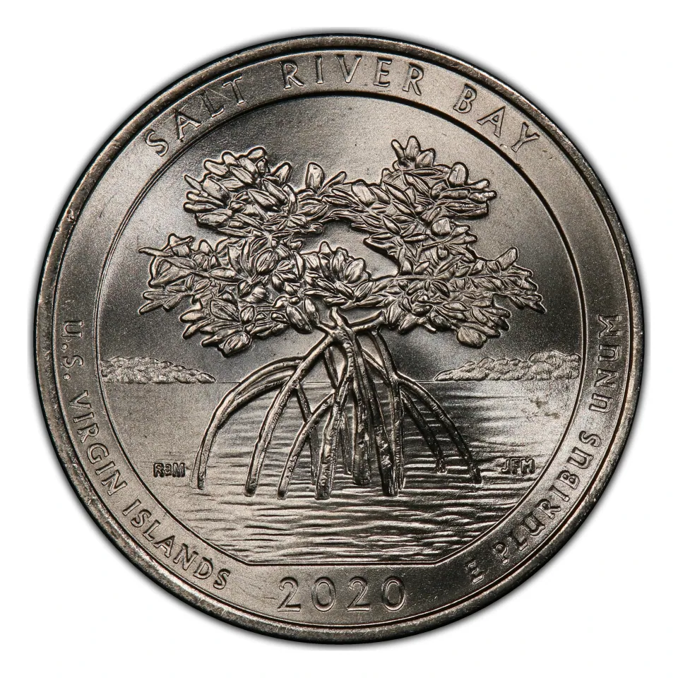 2020 Salt River Bay reverse on a W example: young mangrove design.