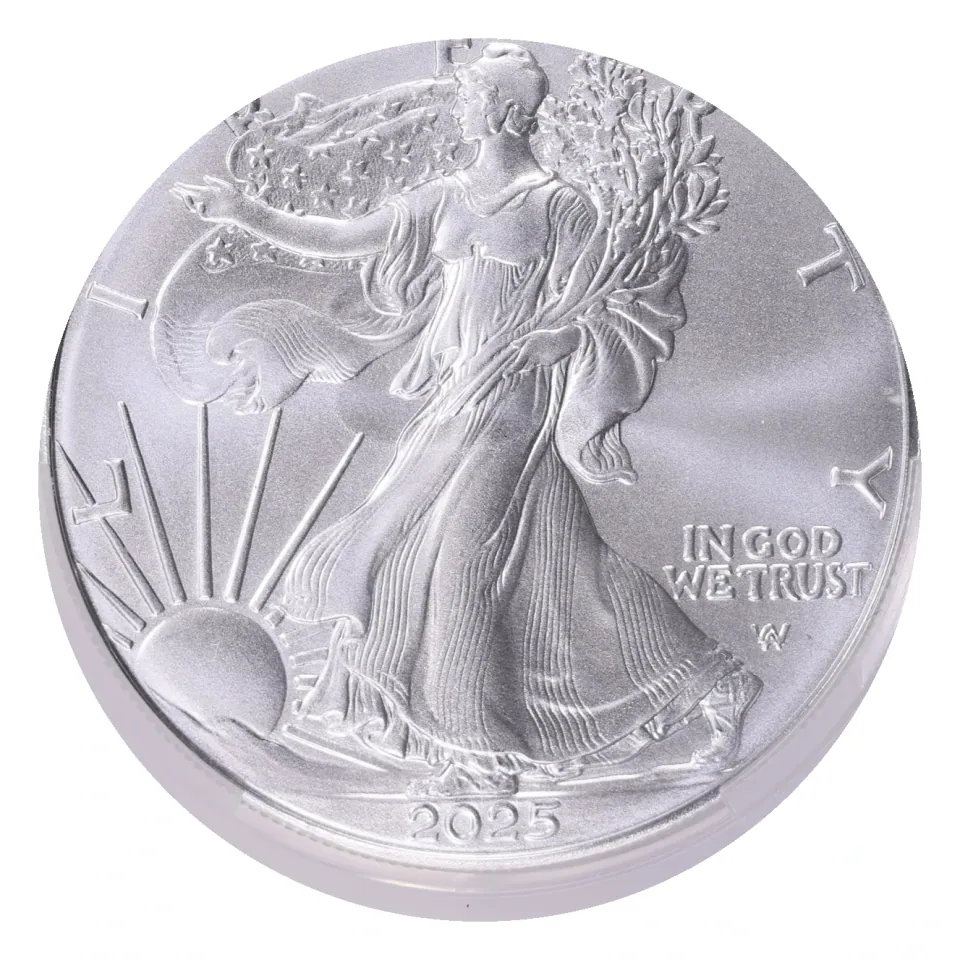 2025 American Silver Eagle obverse: Walking Liberty, date and an ordinary bullion surface.