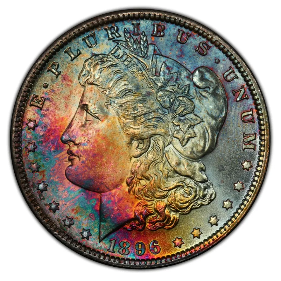 1896 Philadelphia · obverse: Liberty and the date remain visible beneath the coin’s toning.
