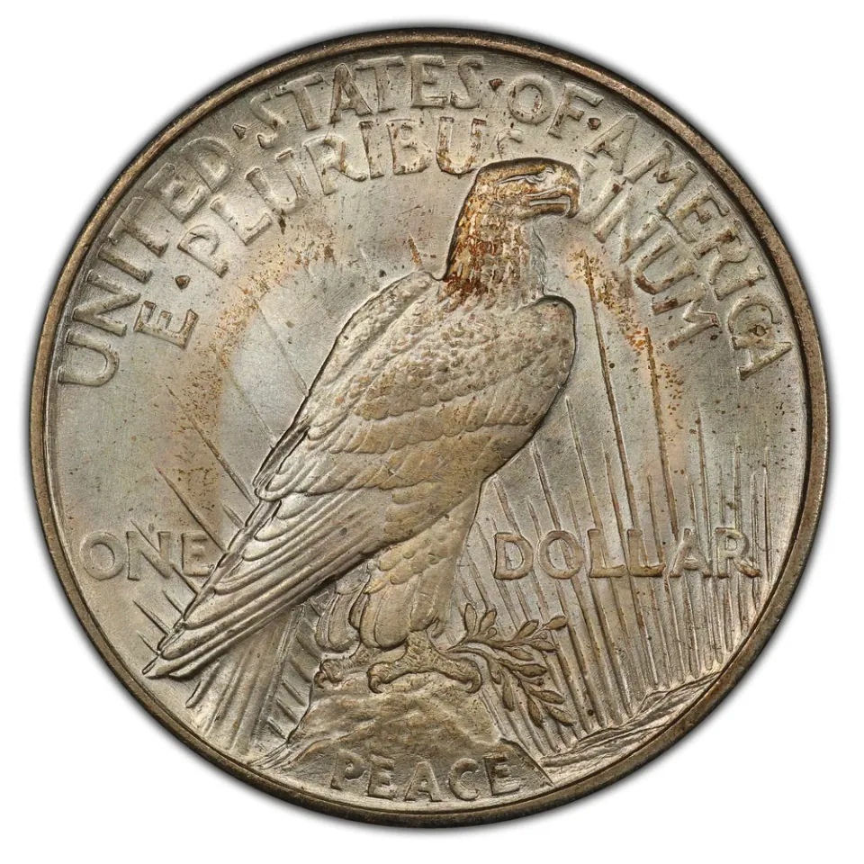 Same coin · reverse: A perched eagle, rays and PEACE distinguish this design from Morgan.