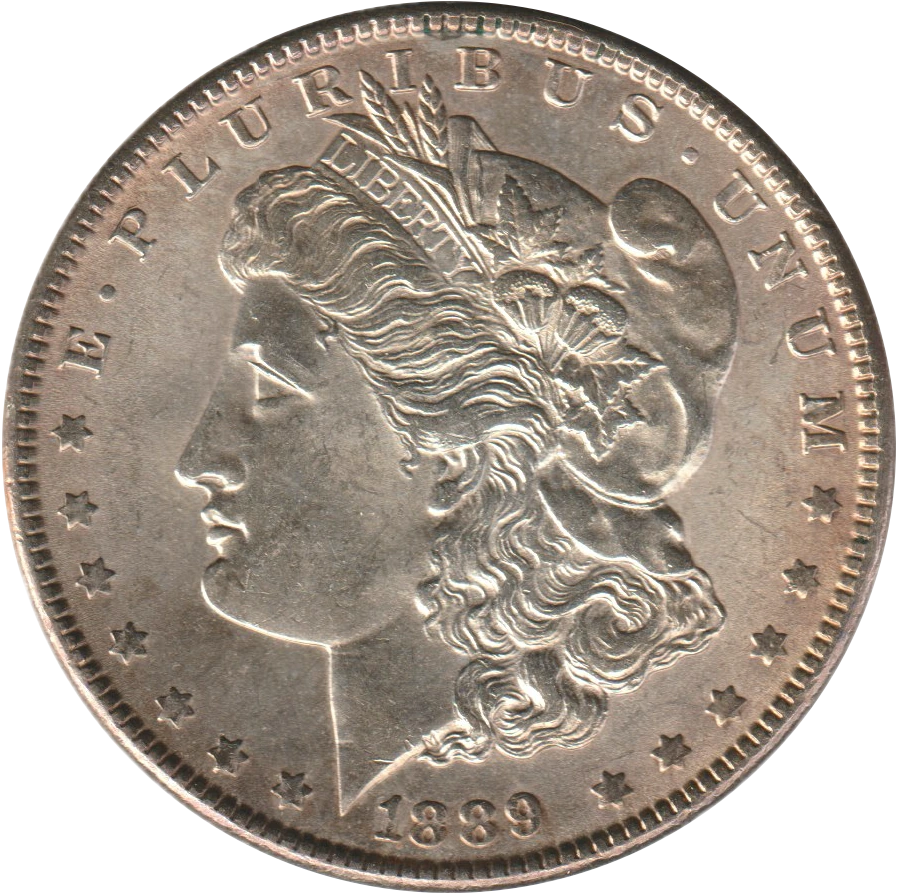 1889 Philadelphia Morgan dollar · obverse: Liberty faces left, with the 1889 issue date below.